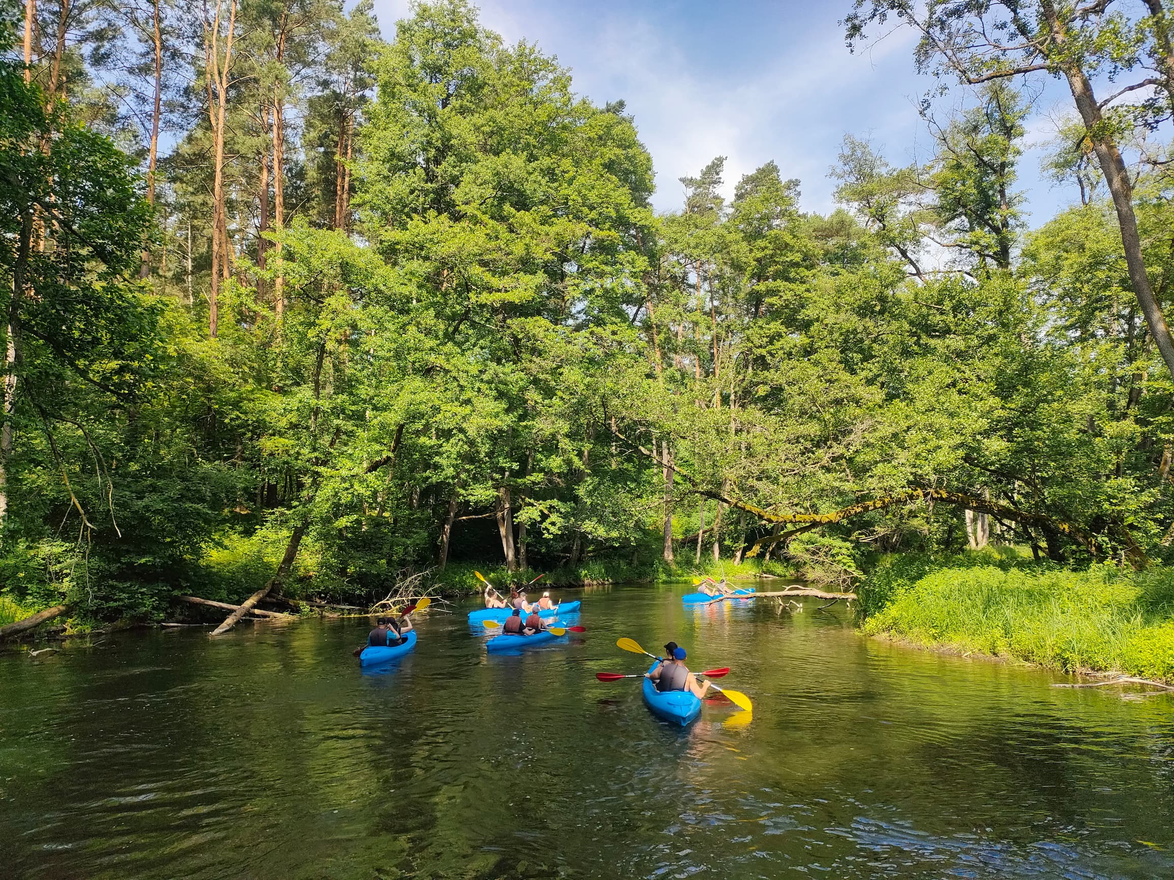 Spływ kajakowy jednodniowy Gołąbek Piła Młyn